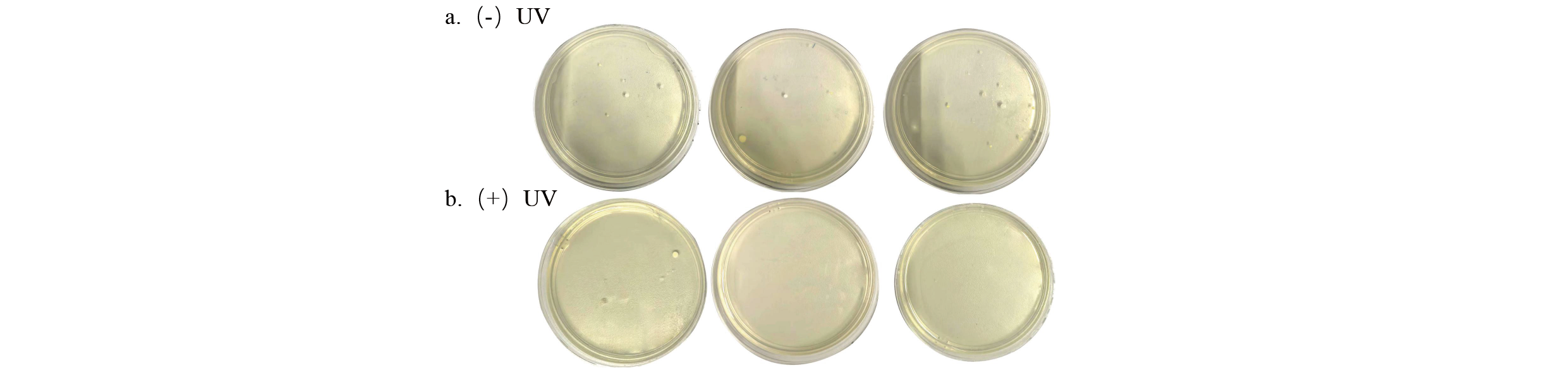 Application-of-UV-C-LED-Technology-in-Air-sterilizer-Sterilization-and-Odor-Removal(2)-32 Anwendung der UV-C-LED-Technologie im Luftsterilisator, Sterilisation und Geruchsbeseitigung(2)-32