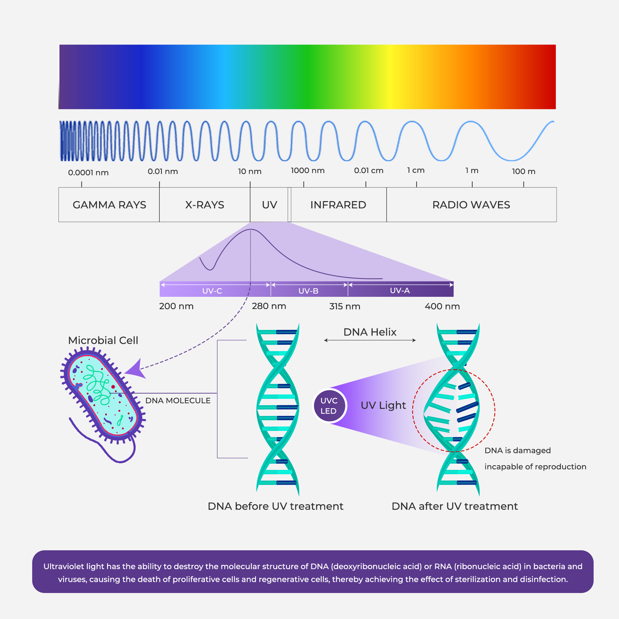 Sterilization Principle of UVC LED Sterilisationsprinzip der UVC-LED