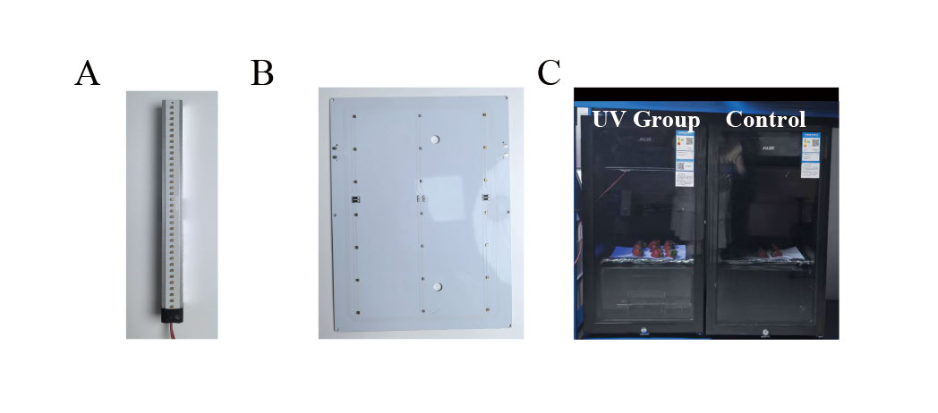 ISAEB-蔬果保鲜-Study-on-the-Effect-of-Intermittent-UV-C-Irradiation-on-Fruit-Preservation-1 ISAEB-蔬果保鲜-Studie-zu-der-Auswirkung-von-intermittierender-UV-C-Bestrahlung-auf-die-Fruchtkonservierung-1