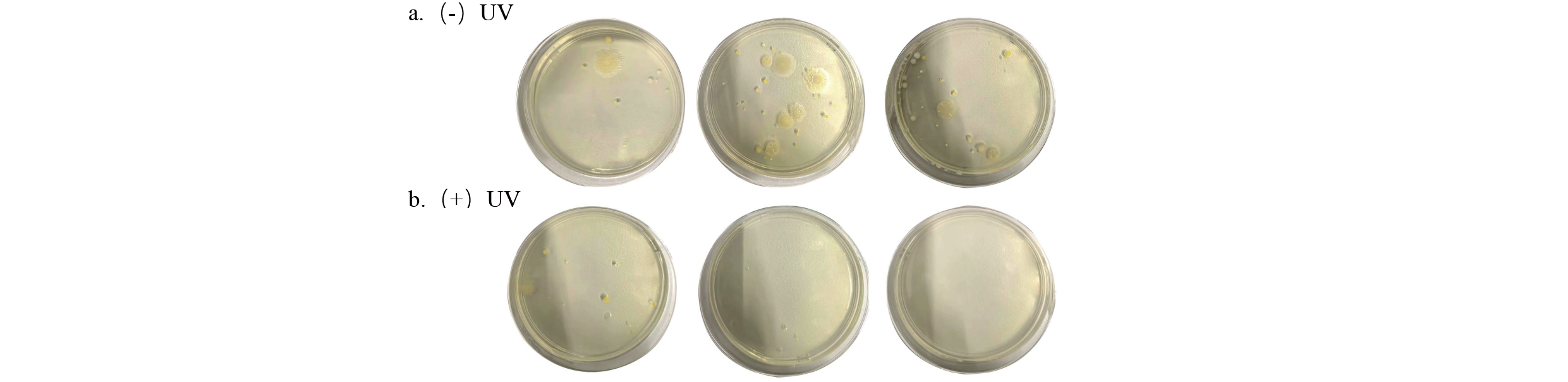 Application-of-UV-C-LED-Technology-in-Air-sterilizer-Sterilization-and-Odor-Removal(2)-3 Anwendung der UV-C-LED-Technologie im Luftsterilisator, Sterilisation und Geruchsbeseitigung(2)-3