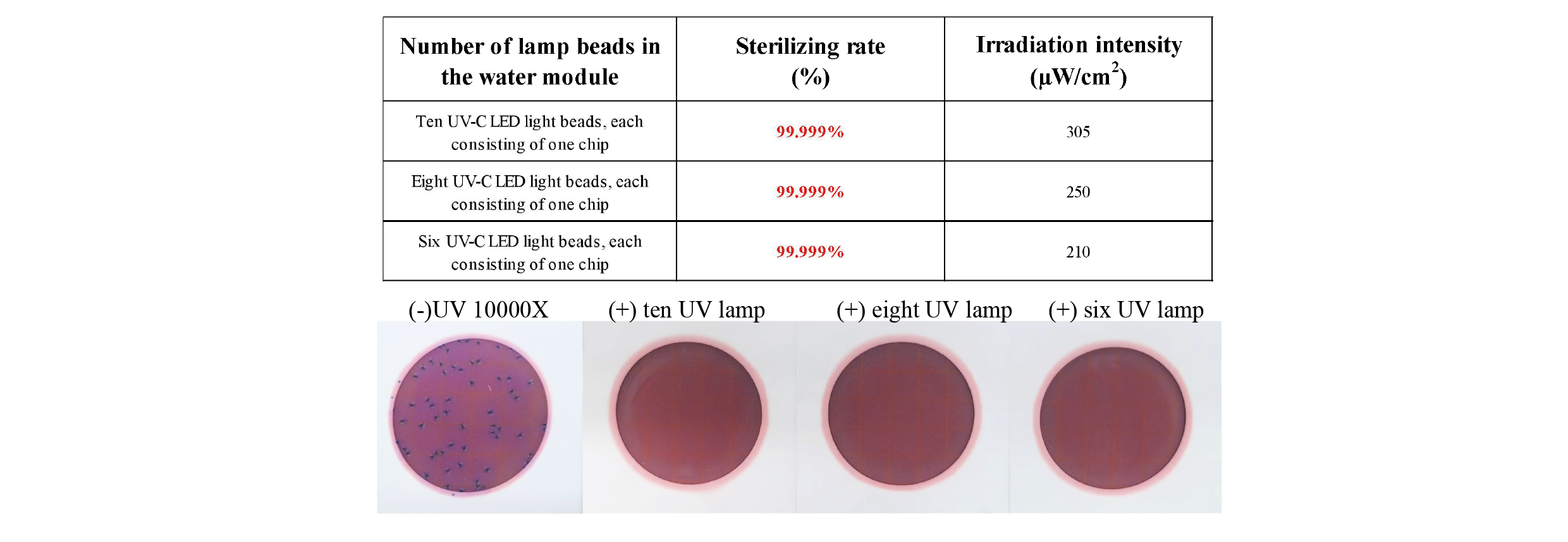WREM-9L水模组-Leistungsbewertung-eines-hocheffizienten-Wasserdesinfektionsmoduls-basierend-auf-UV-C-LED-Technologie-5
