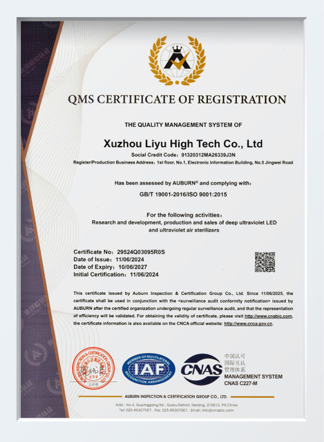 ISO9001-en