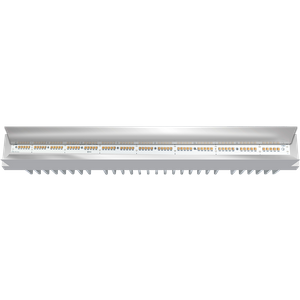 UVC-LED-Streifen MP-UVCMZ-14F