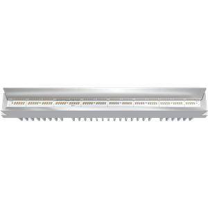 UVC-LED-Streifen MP-UVCMZ-14TF